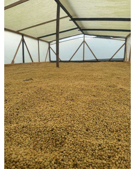 COLUMBIA YELLOW CLOUDS 250G , Piersica, Prune galbene, Mango, Ciocolata alba